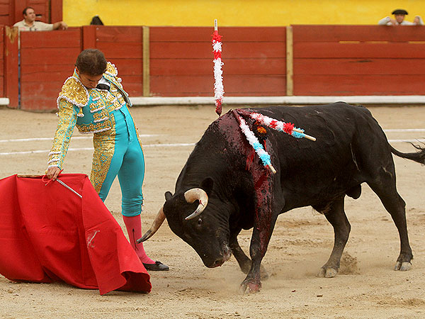 Jorge Sotelo nuevo en esta plaza