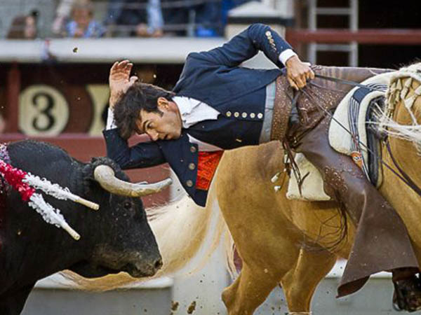 Desplante del cavaleiro