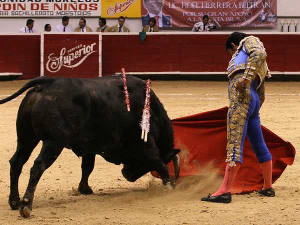 Haci�ndose del toro