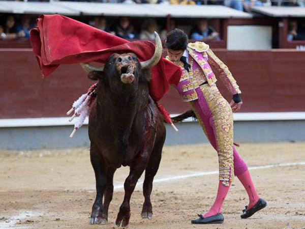 Remate sobre las reyas