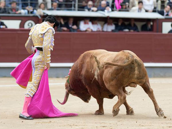 Iv�n Vicente, a la ver�nica