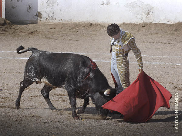Buenos momentos de Pedro Bilbao