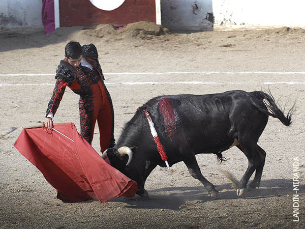 Luci� en las tandas por derecho