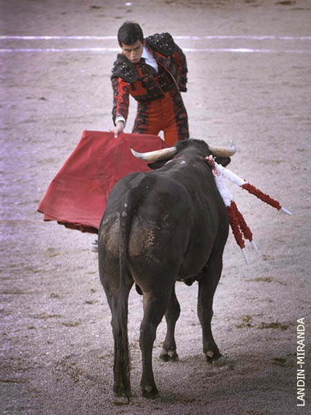 El enga�o por delante