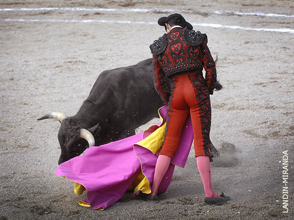 Remate de Alan Corona