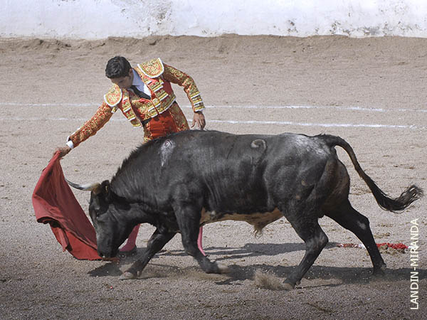 Largueza tlaxcalteca