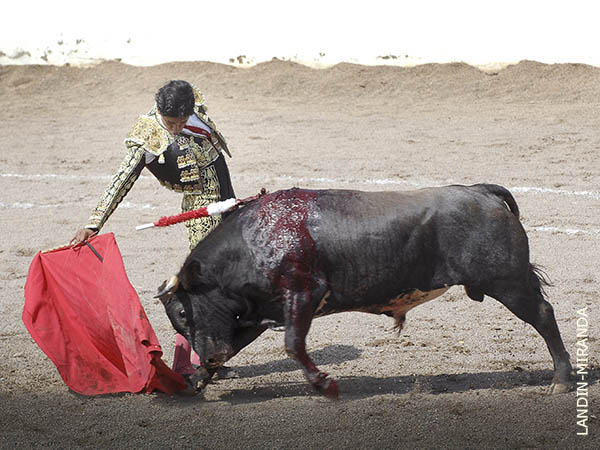 La franela de costado