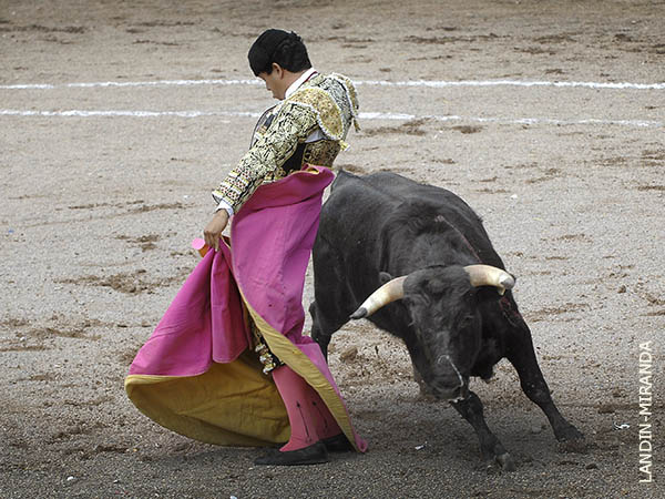 Chicuelinas de Abraham Veloz