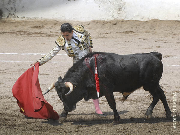 Lleg� desde los valles de Apan