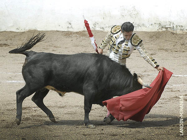 Rodrigo Ochoa, al natural