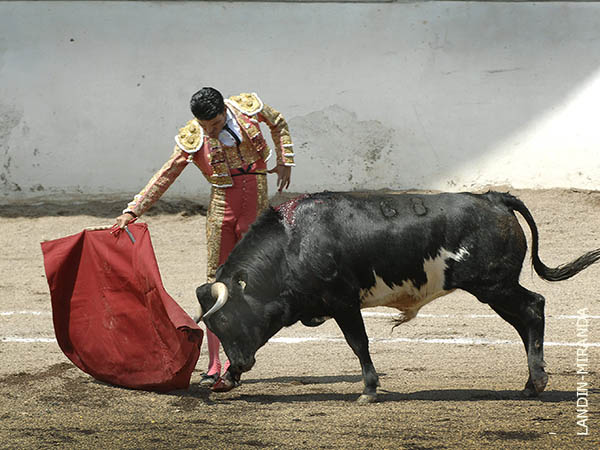 Derechazos al jir�n