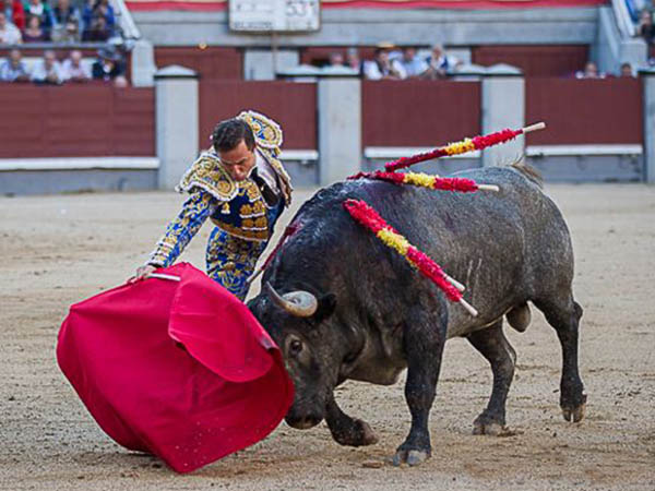 Brill� la raza de Rafaelillo