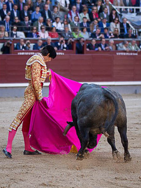 Ver�nicas de Castella