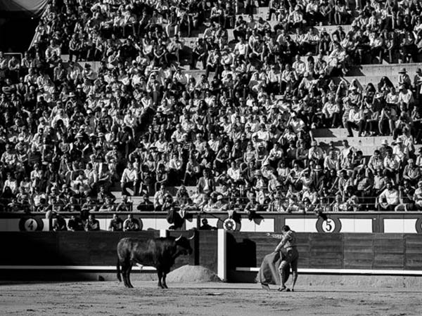 Perfilado para matar