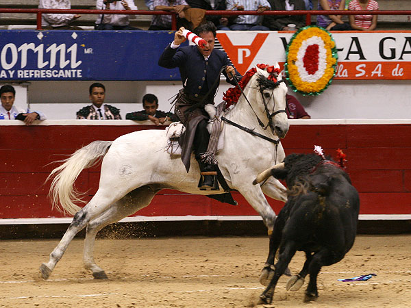 El toro cortando terreno