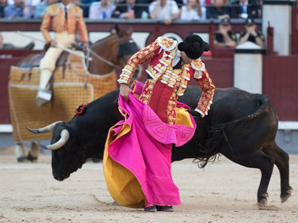 Jaleado en el capote