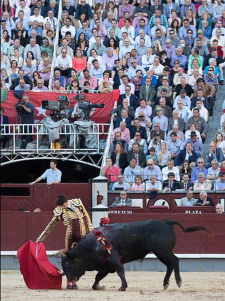 Llenazo en Las Ventas