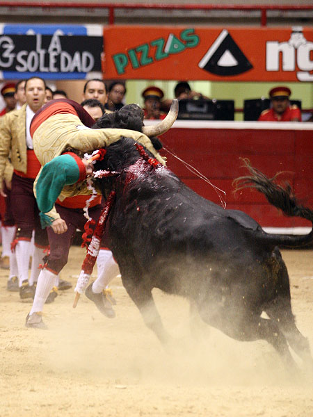 Los Forcados Hidalguenses