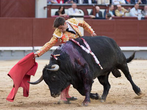 Pinar: Ovaci�n en su lote