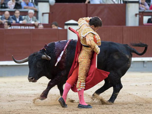 Un molinete al negro