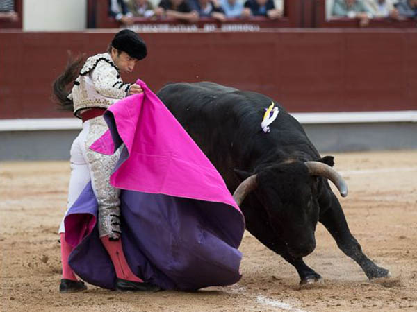 Roble�o a la ver�nica