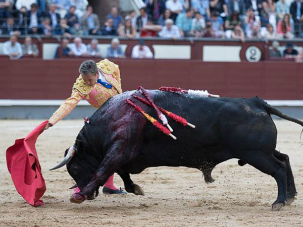 El enga�o de costado