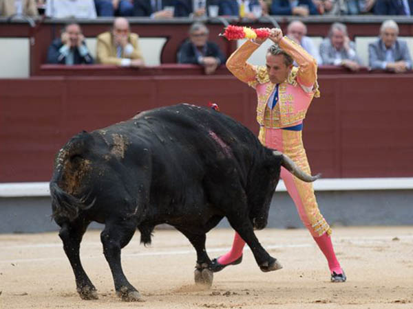 Cuadrando en la cara