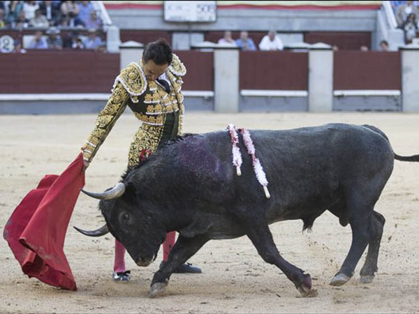 Series a cuentagotas