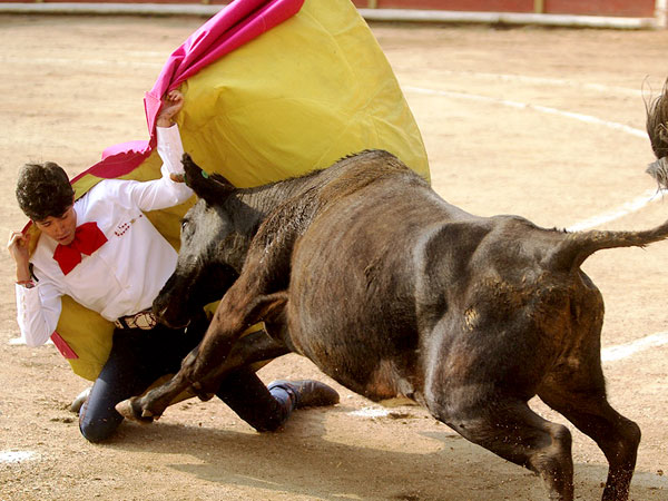 Alfonso Zamora, arrollado