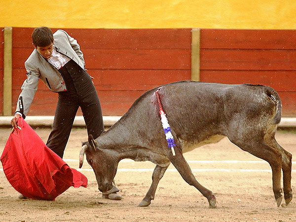 Jos� Alberto Ortega