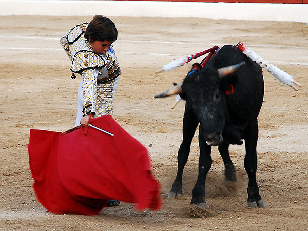 Una embestida imposible