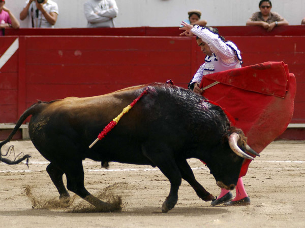 Un adorno en la faena