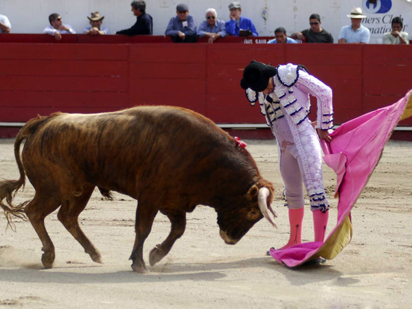 Asentado en la revolera