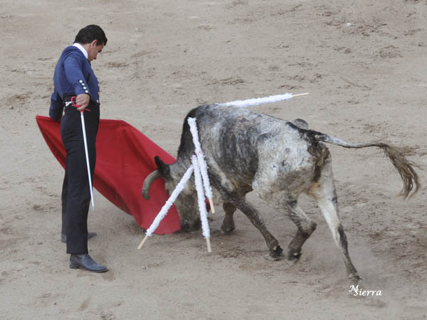 El toreo de Ricardo Mart�nez