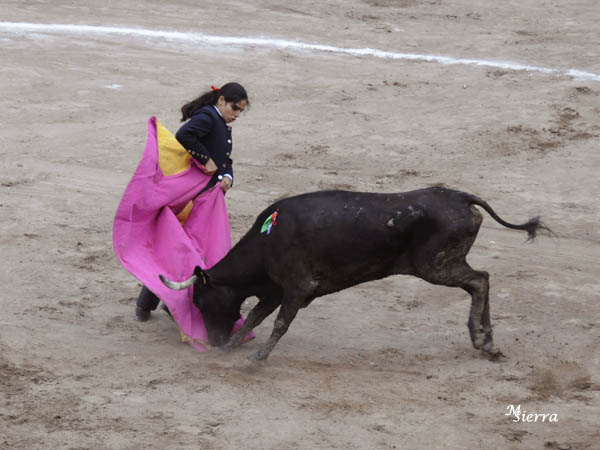 Una media de Olga Casanueva