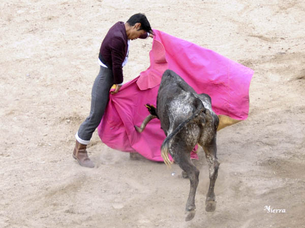 Sentimiento de Fernando Bringas