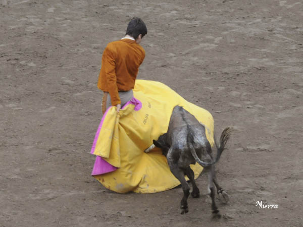 Pirotecnia capotera, Juli�n Garibay