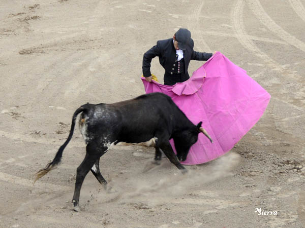 Ver�nicas de J.P. Herrera