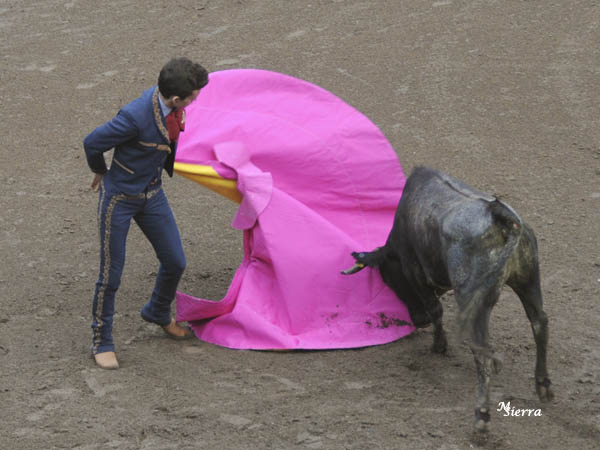 Los vuelos de Jos� Mari Mendoza