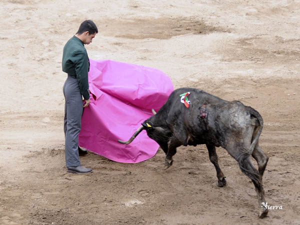 Verticalidad de Jorge Drona