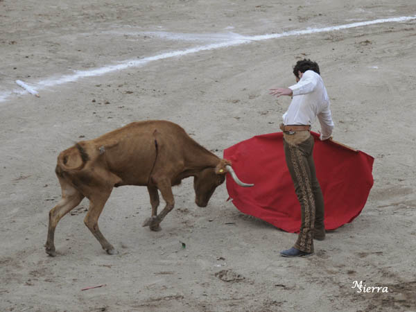 Hern�ndez Medina, por derecho