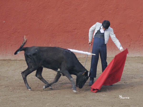 C�sar Ar�valo y el reposo