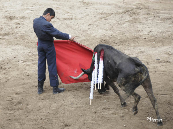 Mostrando el enga�o