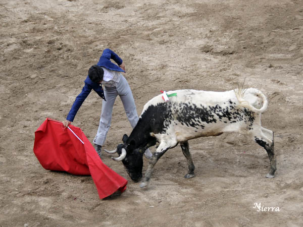 Faena de Carlos Medina