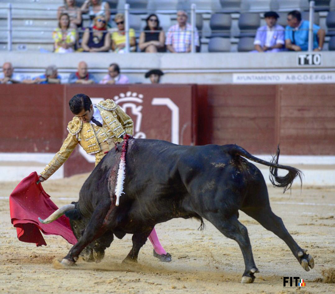 Los vuelos de la muleta