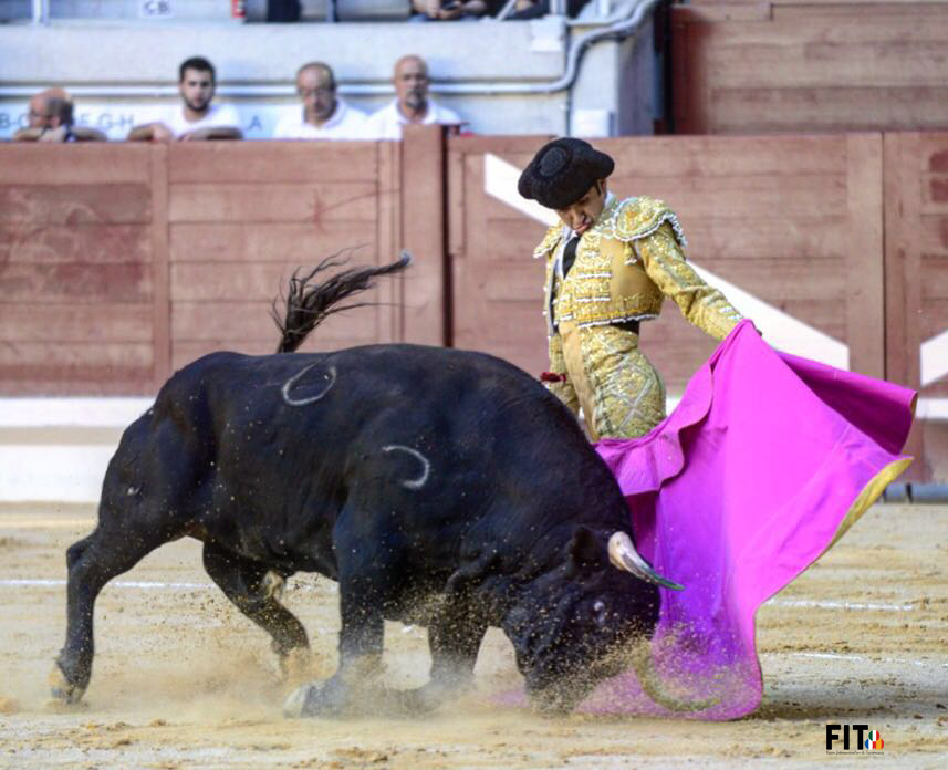 Un lance de Joselito