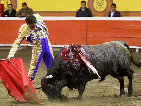 Un torero en plena madurez