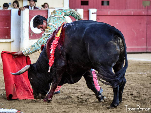 Tirando del list�n