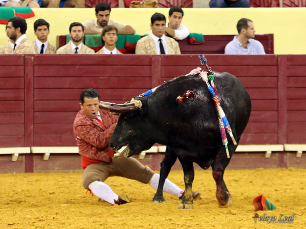 Gary Rocha, rabillador