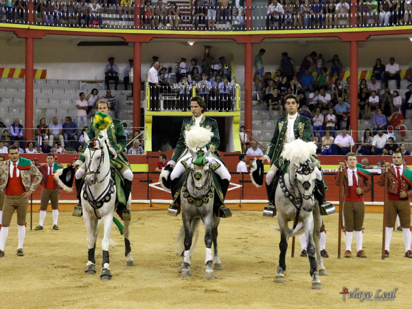 Cavaleiros lusitanos